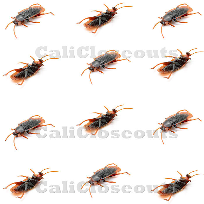 12 Pcs Brand New Realistic Simulation Cockroach Plastic Rubber Roach Bug